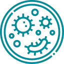 bacteria icon